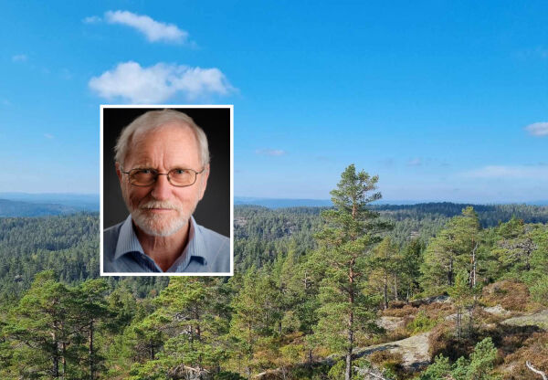 Tre-hodet «vindkrafttroll» fikk motstand!