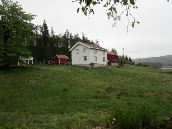 Historisk vandring på Øynaheia
