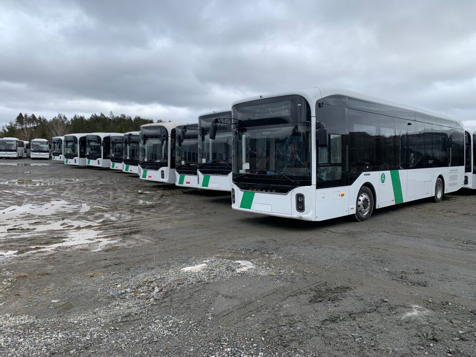 Gigant-lagring av busser i Froland - derfor står de her
