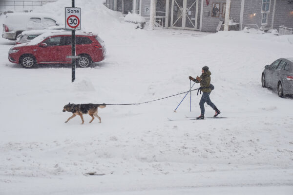 Se bilder fra snøværet i Froland