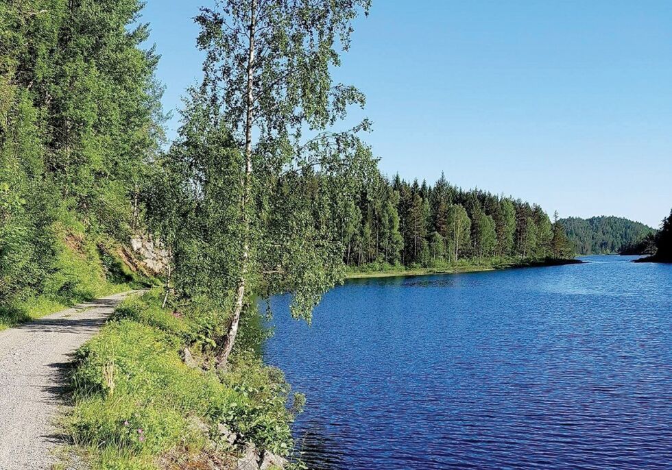 TRESNES: Nå skal endelig navn avgjøres. ARKIVFOTO