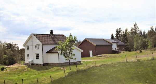 Frolendingen på vidvanke