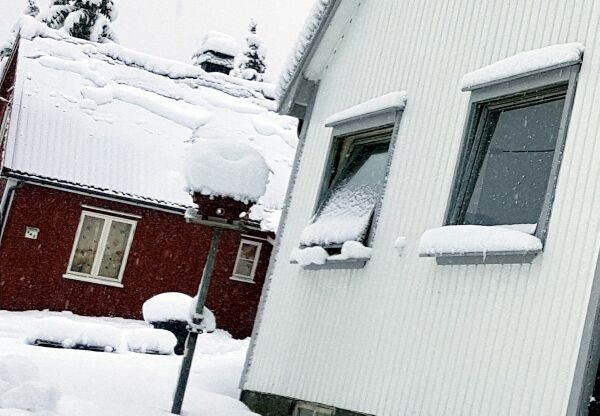 Boliginnbrudd i Froland