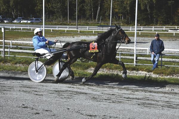 Seier i pappas gamle drakt