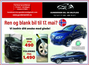 Annonse