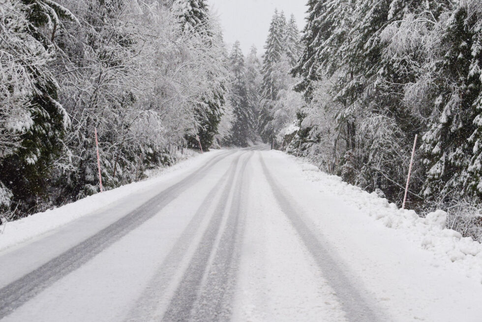 SNØ: Torsdag våknet mange til snø i Froland. Slik så det ut på Bøylestadveien torsdag formiddag, der var det både glatt og mye slaps i veien. FOTO: RAYMOND ANDRE MARTINSEN
