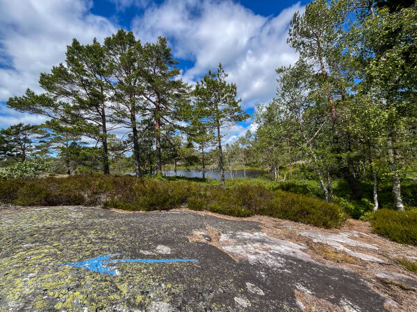 Rolig tjern på Våtåsen