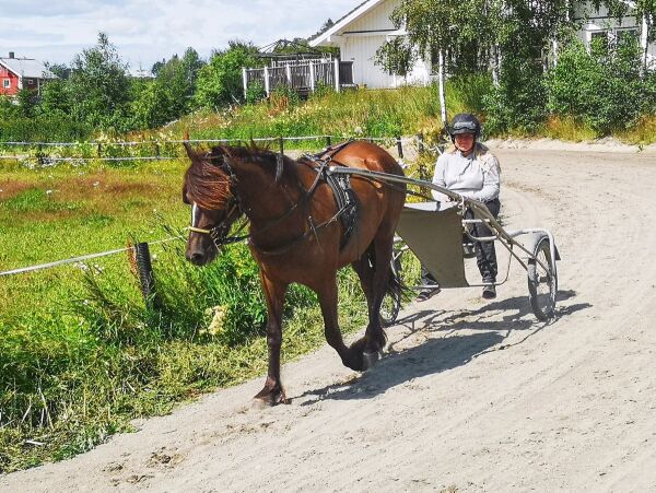 Trener traver verdt én halv mill. kr