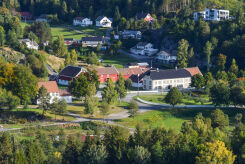 - Ser frem til et levende tun