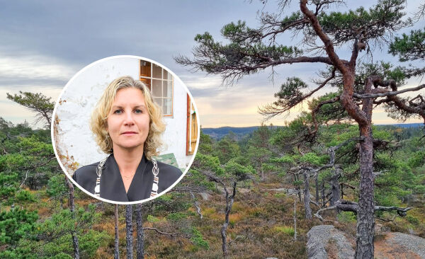 Vindkraft og følelser