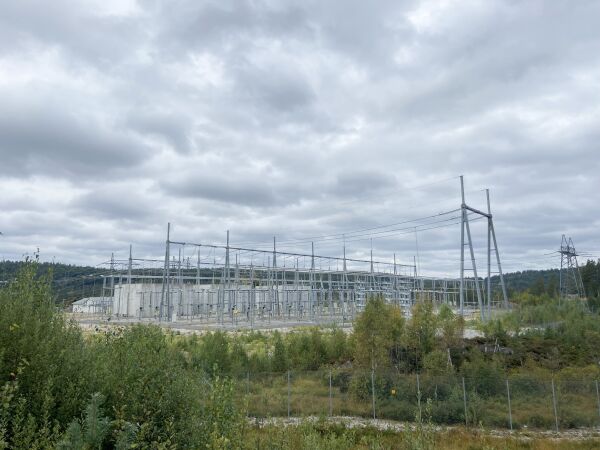 Ett grønt næringseventyr vokser frem i Froland!