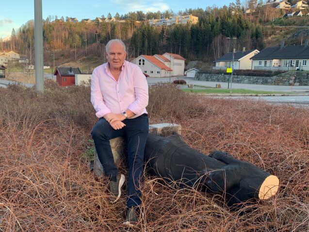 - Hærverk uten mål og mening