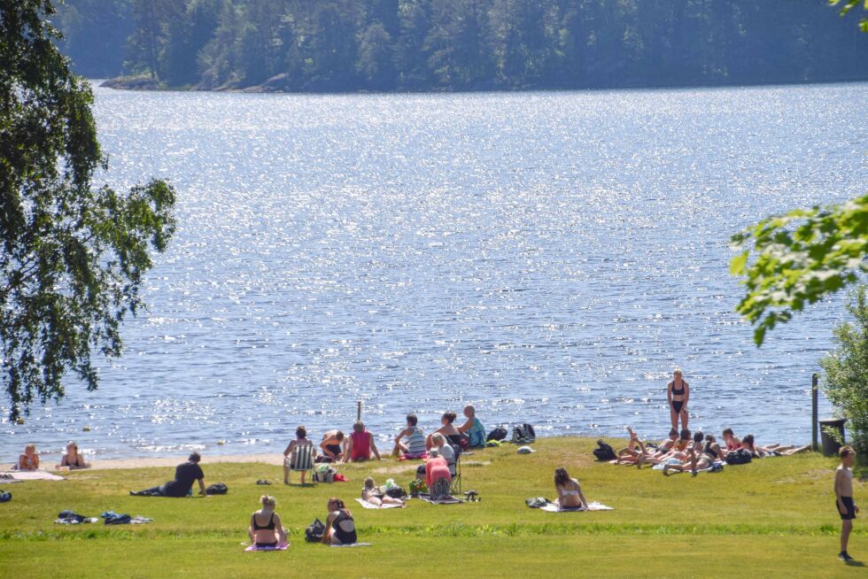 SOMMER: Frolendingen vil gjerne se bilder fra din sommer. Send oss ditt sommerbilde på post@frolendingen.no eller merk det med #frolendingen / @frolendingen på Instagram. Her ser vi bilde fra en tidligere sommer ved Trevann. FOTO: RAYMOND ANDRE MARTINSEN