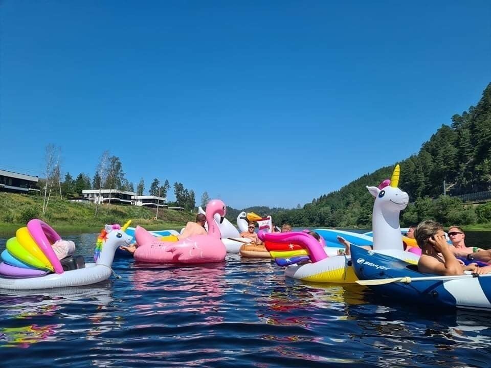 De to enhjørningene har drevet forbi leilighetsbyggene i Nidelvveien og nærmer seg Blakstadbrua. De to svanene er fortsatt med.                                                     Foto: Jon Harald Skaaarstad