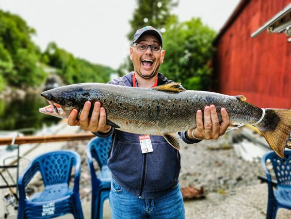 Laksefiske i Nidelva - en bølge av følelser