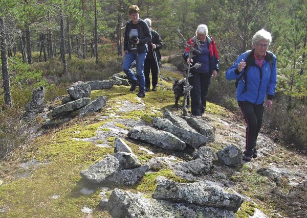 Langs gamle brudeleder i Risdal