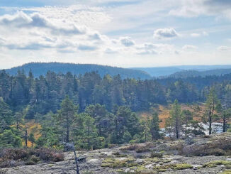 Vindkraft mot naturvern