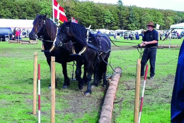Frolands ferske europamester