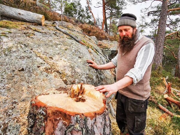 Mauren vil satse i Mykland