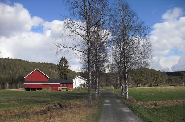 Frolendingen på vidvanke