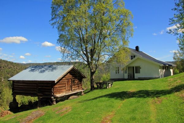 ”Steinsettingene” på Bruliheia, mellom Høgeli og Tilja