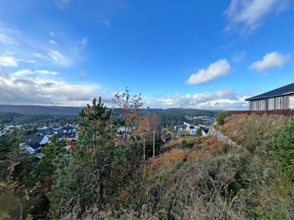 Så mange er vi nå