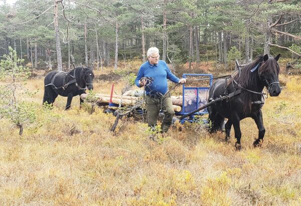 Ny gapahuk i Jomåsløypa