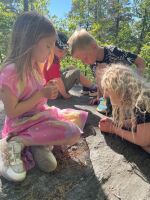 Sommer i Eikely barnehage