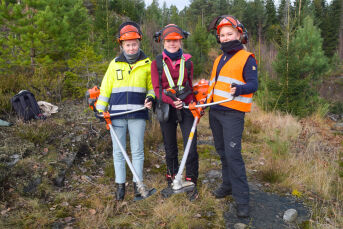 - Vi vil være med å hjelpe i skogen