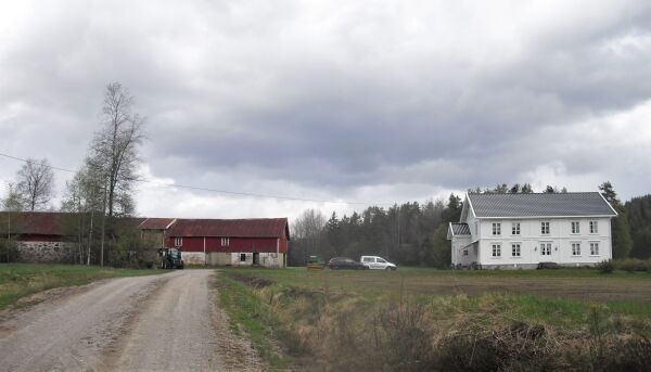 Frolendingen på vidvanke