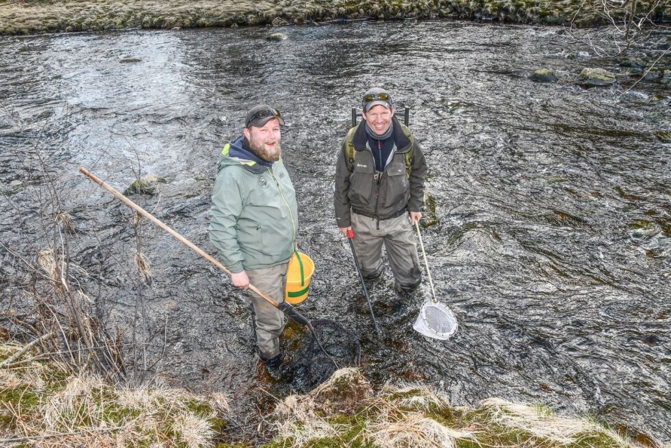 FANGST: Masterstudent Kurt Johansen fra UiA og forsker Tormod Haraldstad i NIVA jobber med å fange og merke laks i Songeelva.