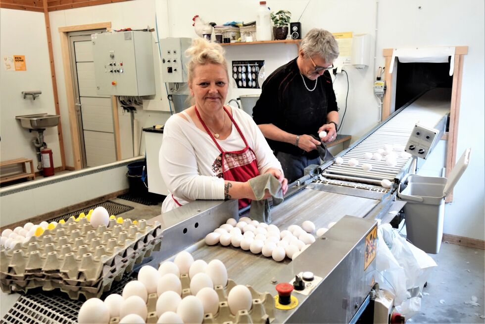 Egg i lange baner på «Doktorgården». Janne og Klaus Aas kommer gjerne opp fra Arendal for å hjelpe datter og svigersønn med å sortere og pakke egg – og leke med barnebarn. FOTO: SALVE HAUGAAS