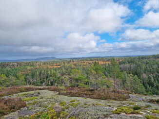 Planlegger færre vindturbiner i Froland