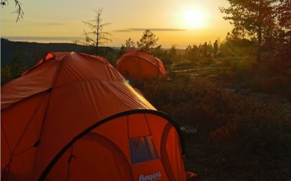 Lesernes blinkskudd fra Froland