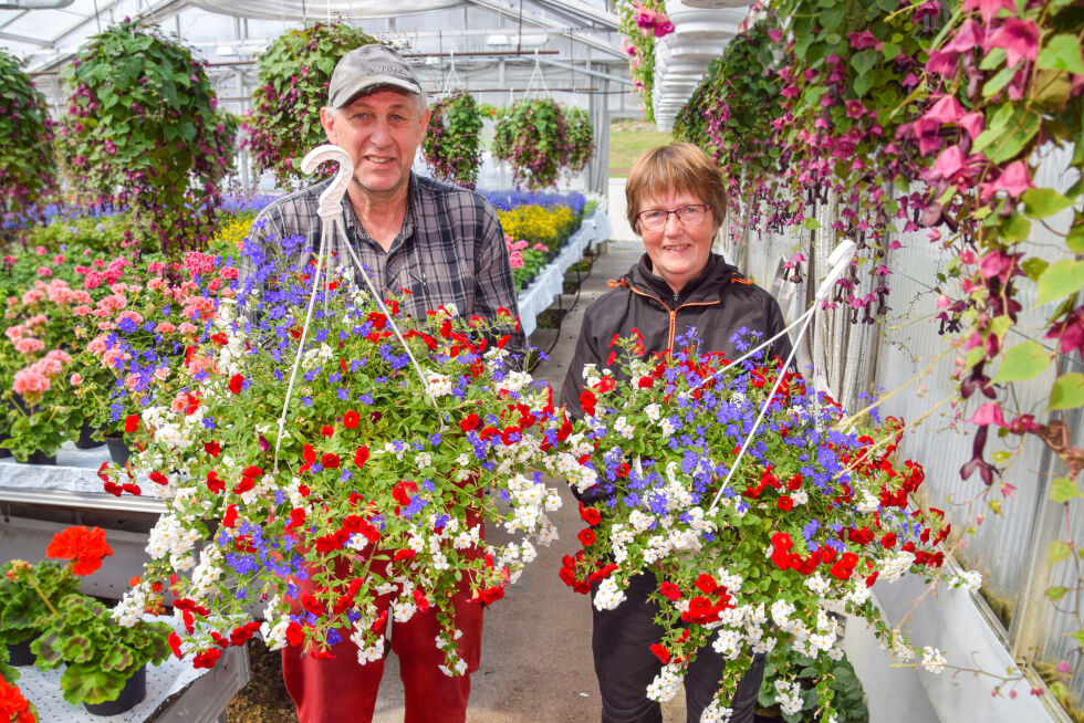 17. MAI: Mange pynter med fargerike blomster på nasjonaldagen. Are Gunnar og Klara Røysland på gartneriet på Songe viser her frem noen av blomstene som er populære til 17. mai. FOTO: RAYMOND ANDRE MARTINSEN