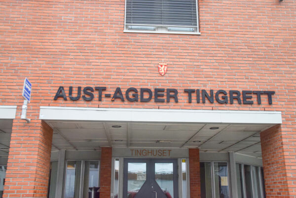 Finn–svindler tatt