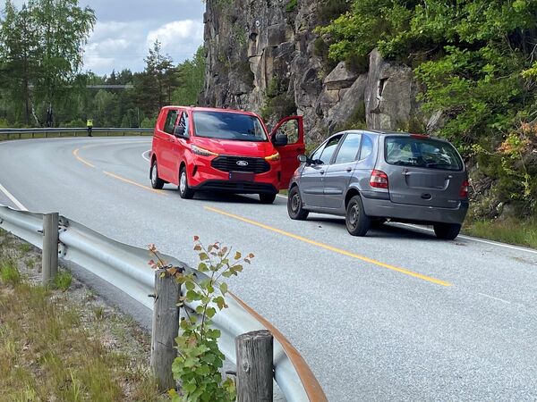 Hundepatrulje tatt i bruk for å finne bilføreren