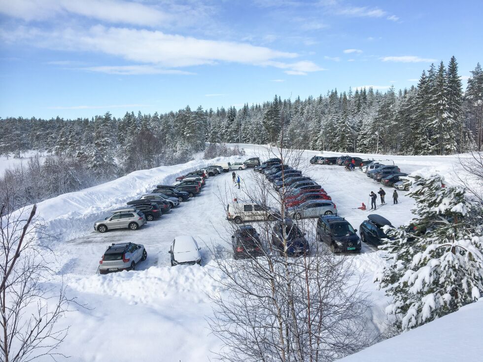 Øynaheia. Foto: Jens Petter Christensen