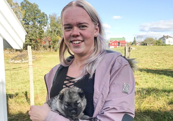 Friskole i Froland