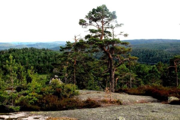 Turen går til Einerfjell