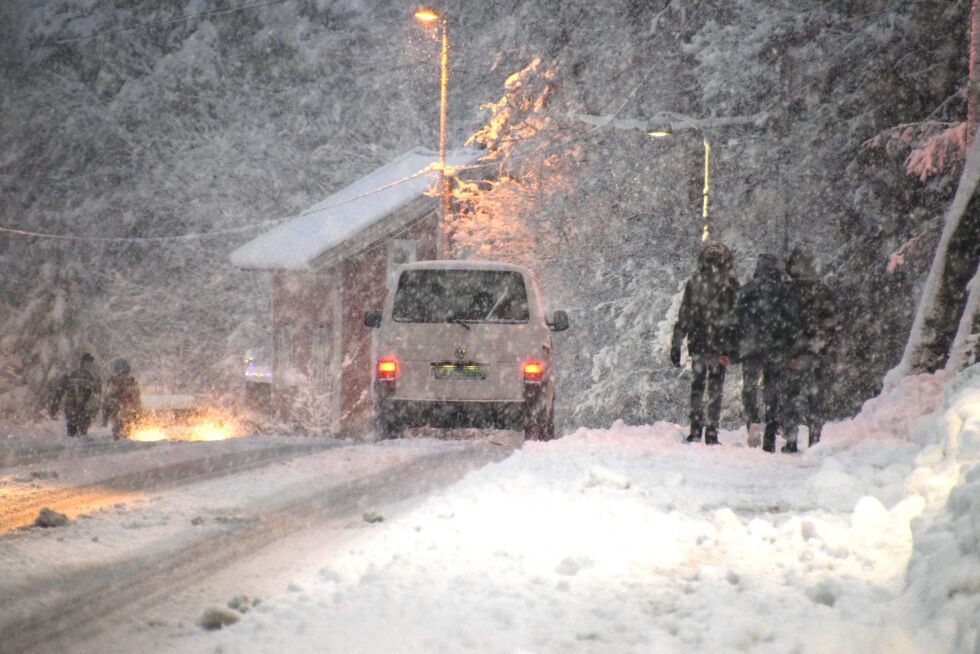 FROLAND: I helgen har det kommet mye snø i Froland, mer er i vente. FOTO: RAYMOND ANDRE MARTINSEN