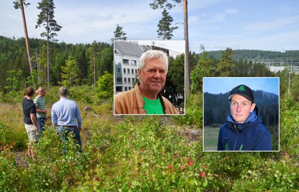 Forvirring om hogst-planene