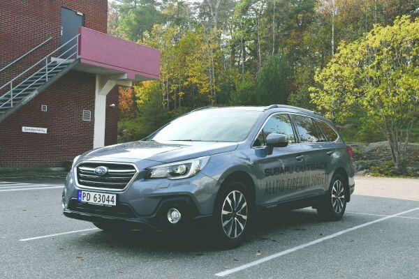 Outback klatrer som en fjellgeit