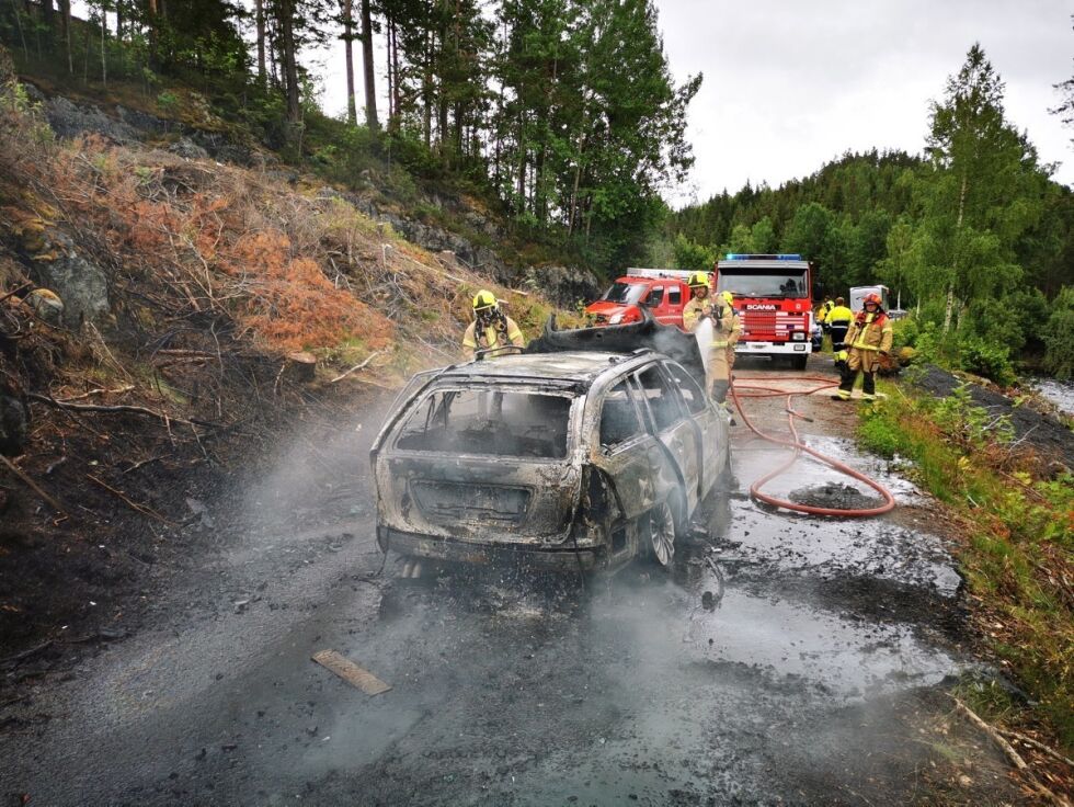 FORTAPT: Brannmannskapene fra brannvesenet i Froland måtte konsentrere seg om å hindre spredning til terrenget, da bilen ikke var å redde.