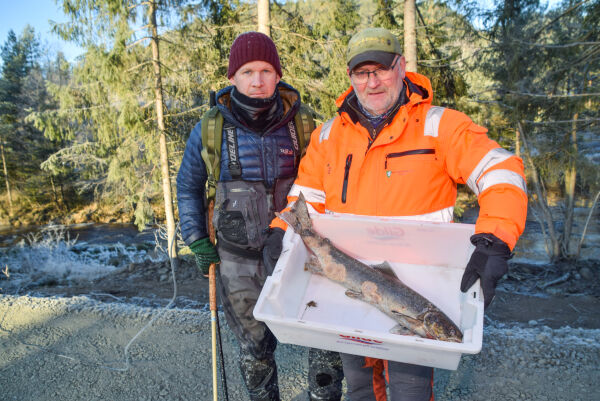 Undersøkte Songeelva etter tips om døde fisk