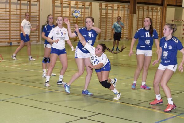 Froland tapte for Tvedestrand