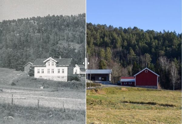 Froland før og nå - sett fra Tveiten