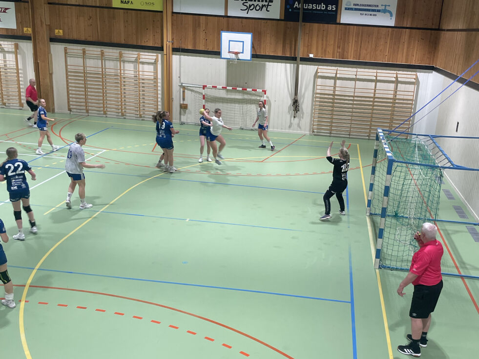 TOK SEIEREN: Tross en dårlig start, dro Froland håndballs damelag i land en ny seier og sikret seg 2. plass i serien. FOTO: RACHEL OLSEN