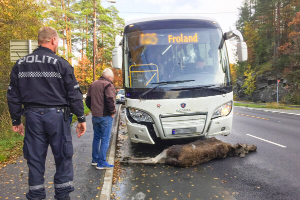 Nå må du følge ekstra nøye med langs veiene