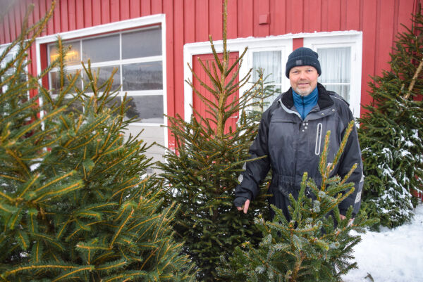 - Den siste uka før jul pleier å være veldig hektisk